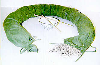 P10_ZY62_1.jpg