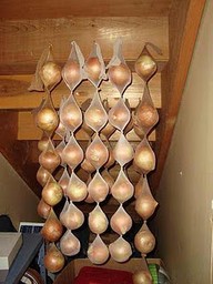 onion carriers.jpg