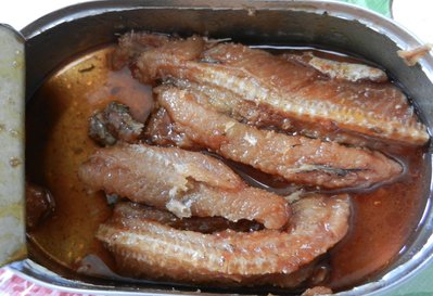 eel2.JPG (548.14 KiB) Viewed 9503 times This is about half