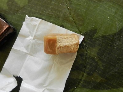 Very nice, sweet &amp; chewy, i would call this more butterscotch than plain caramel