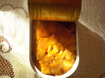 PB240267.JPG