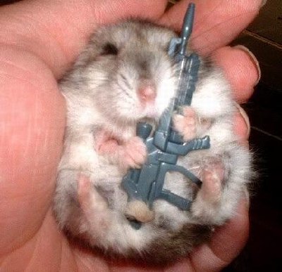 Combat hamster.jpg