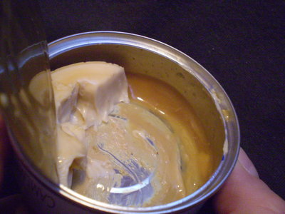 PB240202 (3).JPG