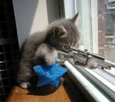 kitty-gun-3.jpg