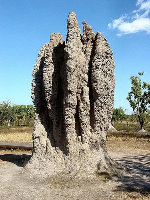 576px-Termite_Cathedral_DSC03570.jpg
