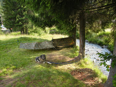 DSCF3929.JPG (1.86 MiB) Viewed 8256 times DSCF3929.JPG