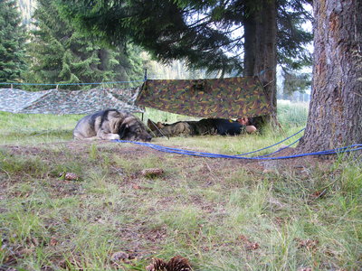 DSCF3936.JPG (1.89 MiB) Viewed 8256 times DSCF3936.JPG