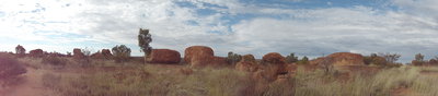 DSC00810.JPG