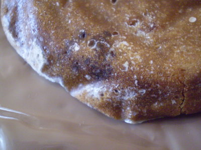 PC120028.JPG