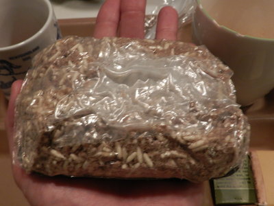 2014-03-05 11.47.45.jpg