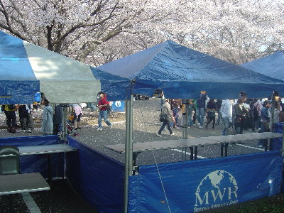 DSC08601.JPG