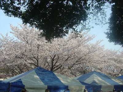 DSC08599.JPG