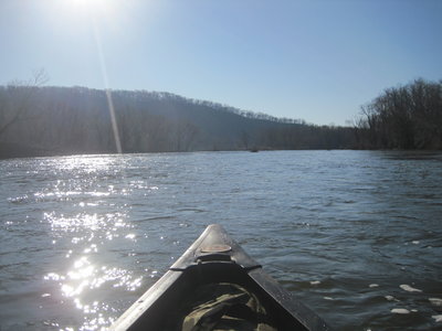 IMG_7363.JPG