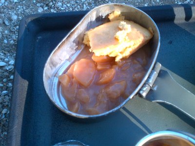 Apple Slices Spiced and Hot Corn bread