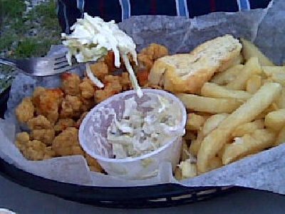 alligator.JPG (33.05 KiB) Viewed 7560 times alligator.JPG