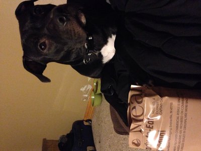 image.jpg (1.5 MiB) Viewed 14340 times image.jpg