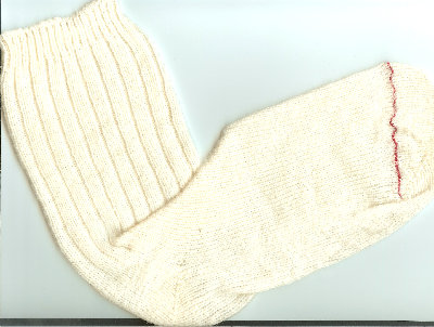 Wool Sock Wigwam.jpg