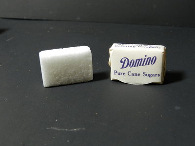 DSCN5541.JPG