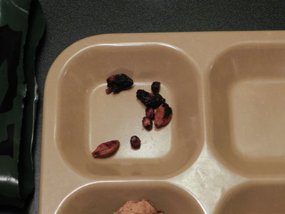 Seeds from that strange dried fruit. Don't break a tooth!