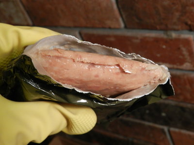 DSCN0770.JPG