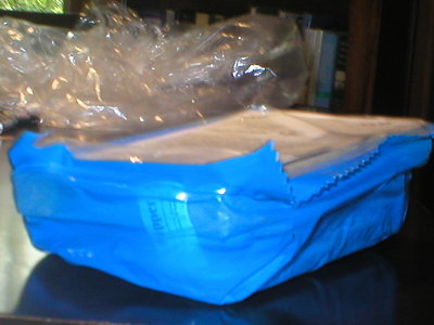 P1010005.JPG