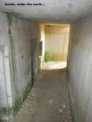 WN10e.jpg