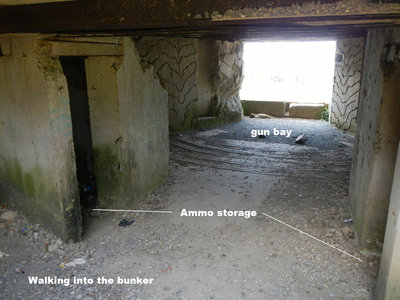 WN28e.jpg