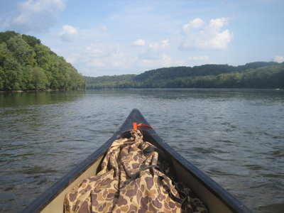 IMG_9954.JPG