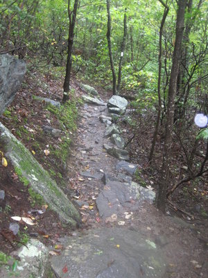 Trail up